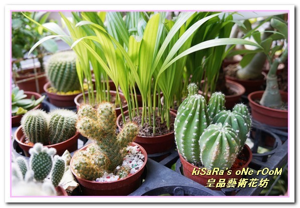 皇品藝術花坊(許皓鈞老師):台中花藝.認真又具巧手美感的花藝大師──皇品藝術花坊.許皓鈞老師