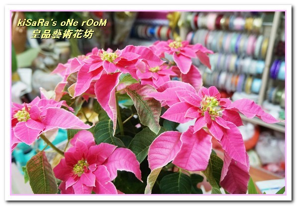 皇品藝術花坊(許皓鈞老師):台中花藝.認真又具巧手美感的花藝大師──皇品藝術花坊.許皓鈞老師