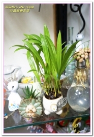 皇品藝術花坊(許皓鈞老師):台中花藝.認真又具巧手美感的花藝大師──皇品藝術花坊.許皓鈞老師