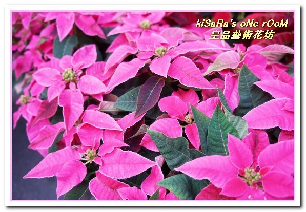 皇品藝術花坊(許皓鈞老師):台中花藝.認真又具巧手美感的花藝大師──皇品藝術花坊.許皓鈞老師