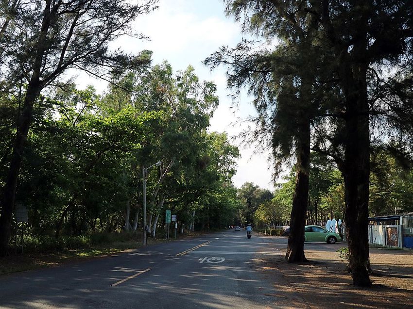 漁光島5元阿婆茶葉蛋：堅持30年不漲價｜台南必去/安平美食/秋茂園 - 進食的巨鼠