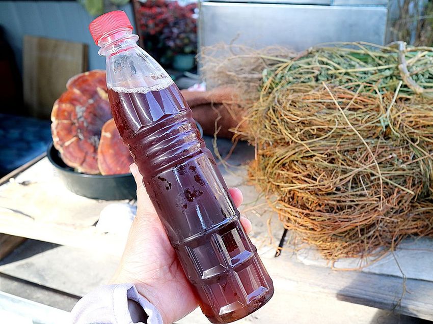 漁光島5元阿婆茶葉蛋：堅持30年不漲價｜台南必去/安平美食/秋茂園 - 進食的巨鼠