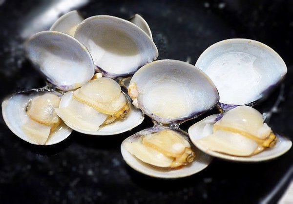 嘴秋鍋物：【三重火鍋】嘴秋鍋物 多種新鮮肉品 / 海鮮可選擇．選擇多元且超平價