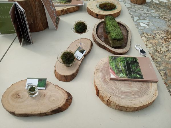 台中花博遊記之一：外埔園區