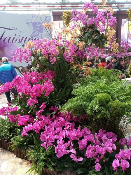 台中花博遊記之一：外埔園區