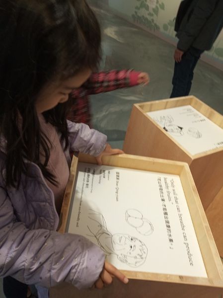 台中花博遊記之一：外埔園區