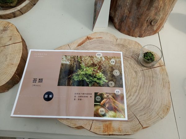 台中花博遊記之一：外埔園區