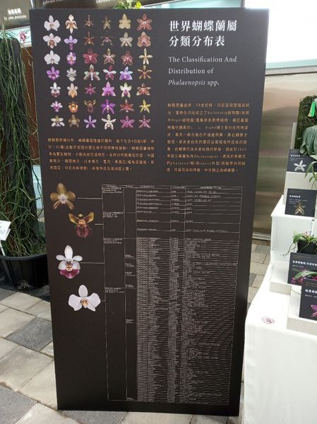 台中花博遊記之一：外埔園區