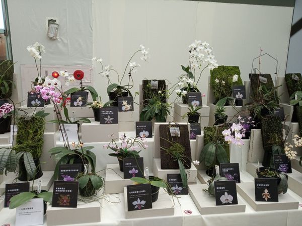 台中花博遊記之一：外埔園區