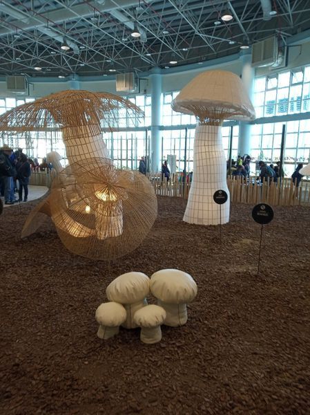 台中花博遊記之一：外埔園區