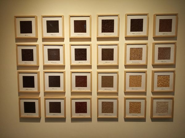 台中花博遊記之一：外埔園區