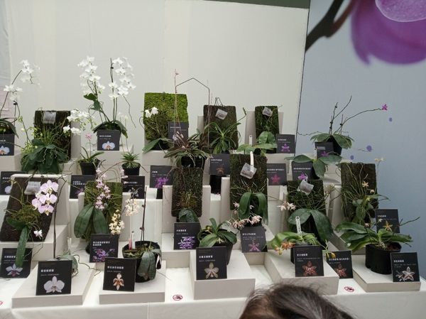 台中花博遊記之一：外埔園區