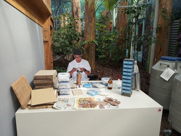 台中花博遊記之一：外埔園區