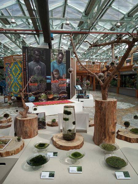 台中花博遊記之一：外埔園區