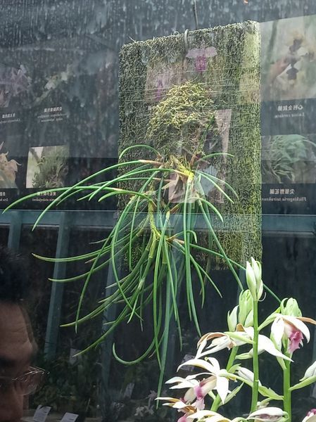 台中花博遊記之一：外埔園區