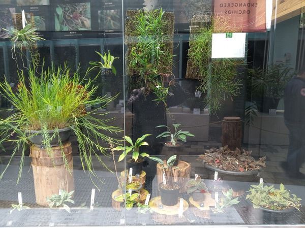 台中花博遊記之一：外埔園區