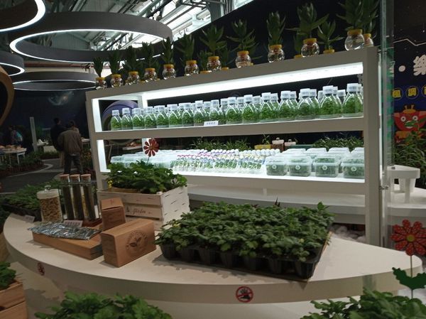 台中花博遊記之一：外埔園區