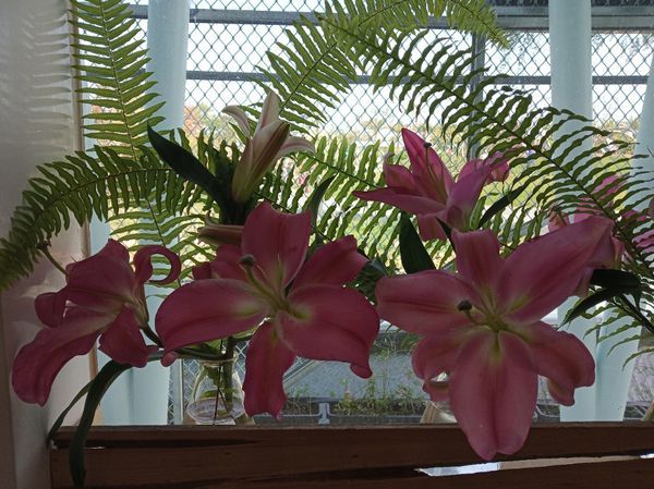 台中花博遊記之一：外埔園區