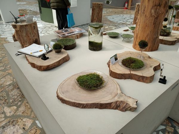 台中花博遊記之一：外埔園區