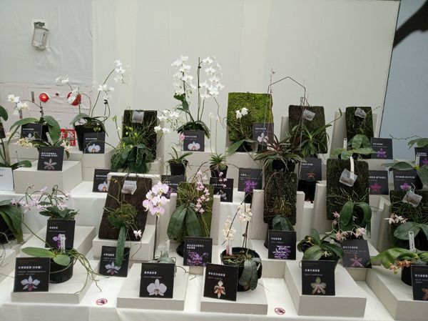 台中花博遊記之一：外埔園區