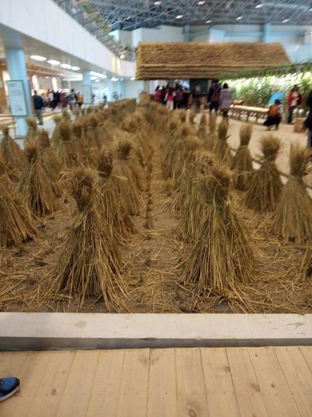 台中花博遊記之一：外埔園區