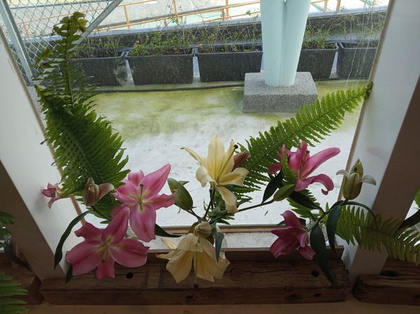 台中花博遊記之一：外埔園區