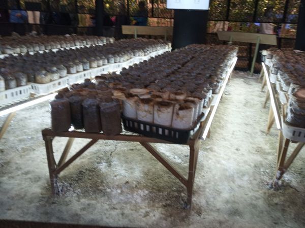 台中花博遊記之一：外埔園區