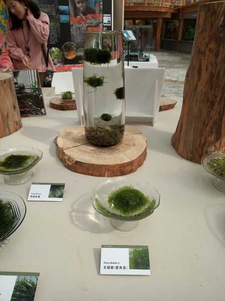 台中花博遊記之一：外埔園區