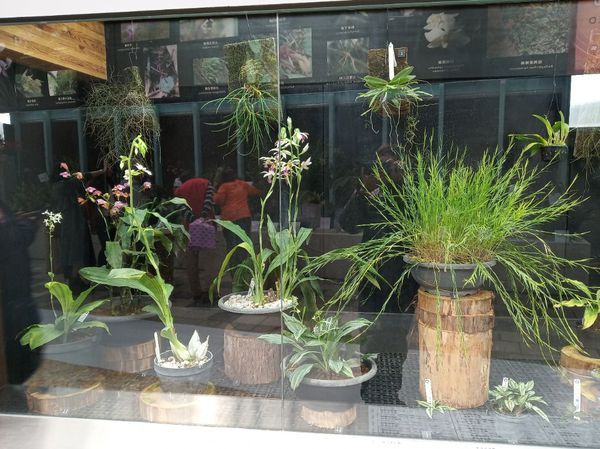 台中花博遊記之一：外埔園區