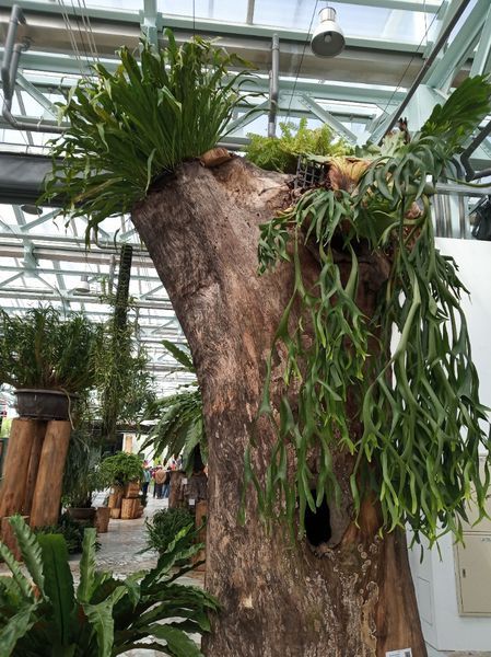 台中花博遊記之一：外埔園區