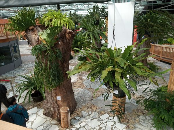 台中花博遊記之一：外埔園區