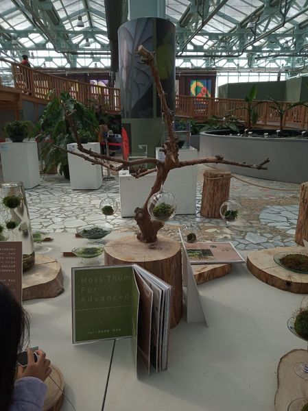 台中花博遊記之一：外埔園區