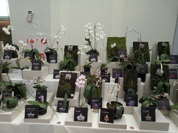 台中花博遊記之一：外埔園區