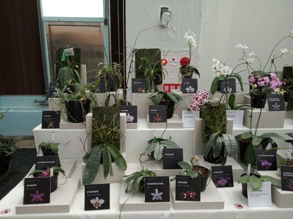 台中花博遊記之一：外埔園區