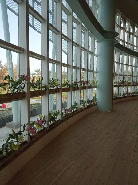 台中花博遊記之一：外埔園區