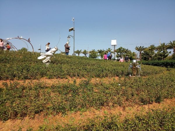 台中花博遊記之一：外埔園區