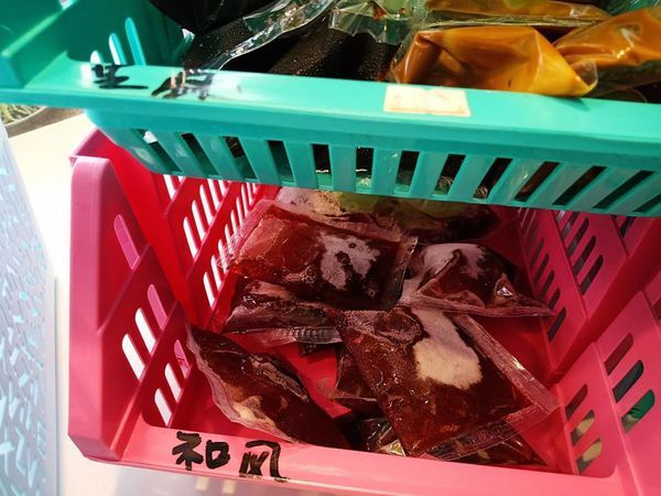 44635447_361673547905443_5976722501651136512_n