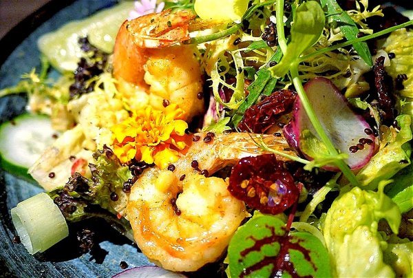 Rocket Music：音樂｜美酒　Rocket Music音樂火箭餐廳 好好放鬆小酌一番．美妙歌聲/重溫舊時光的美好