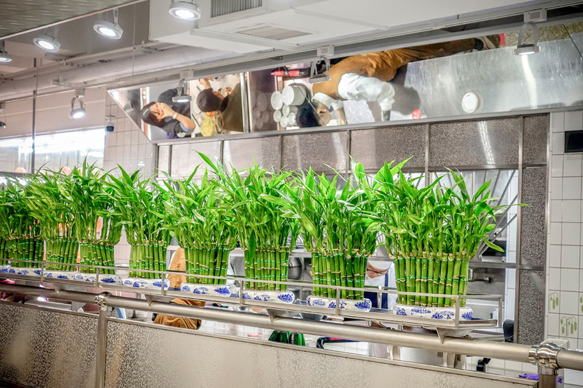 _DSC5838.jpg _DSC5838.jpg