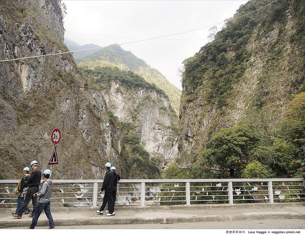 太魯閣國家公園:【花蓮 Hualien】太魯閣國家公園 燕子口步道欣賞壯麗的峽谷地形Taroko 太魯閣國家公園:【花蓮 Hualien】太魯閣國家公園 燕子口步道欣賞壯麗的峽谷地形Taroko