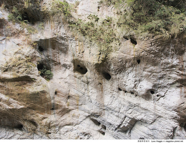 太魯閣國家公園:【花蓮 Hualien】太魯閣國家公園 燕子口步道欣賞壯麗的峽谷地形Taroko 太魯閣國家公園:【花蓮 Hualien】太魯閣國家公園 燕子口步道欣賞壯麗的峽谷地形Taroko
