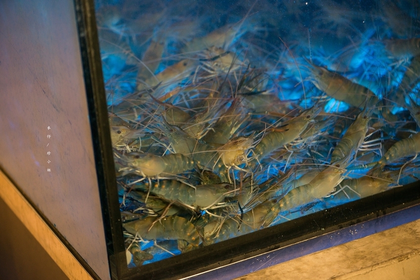 麥仔食-桃園｜一品活蝦桃園店｜台灣活蝦料理專賣 x 必點一品回味蝦、霸王蝦、胡椒蝦、脆皮雞｜團體聚餐首選｜桃園藝文中心美食