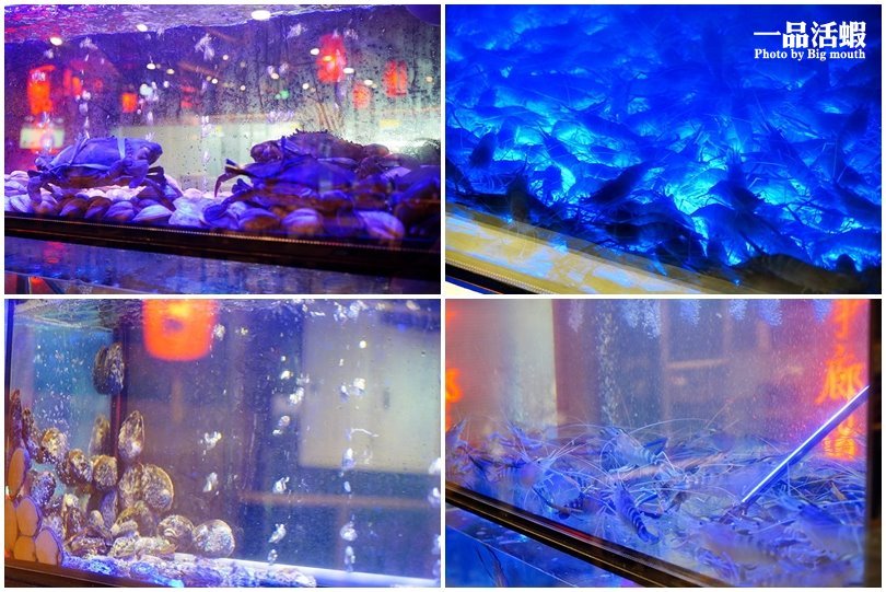 【桃園美食】一品活蝦桃園店.現撈ㄟ各式經典活蝦料理、限量脆皮雞必點!桃園聚餐推薦餐廳!