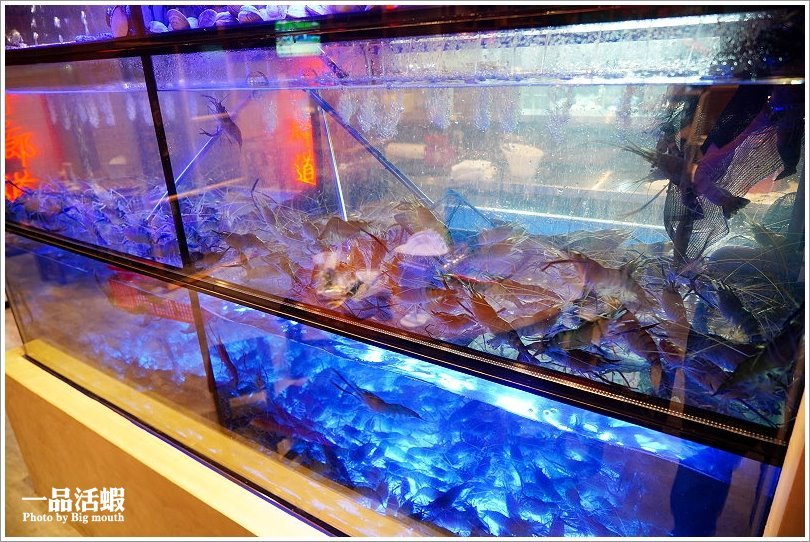 【桃園美食】一品活蝦桃園店.現撈ㄟ各式經典活蝦料理、限量脆皮雞必點!桃園聚餐推薦餐廳!