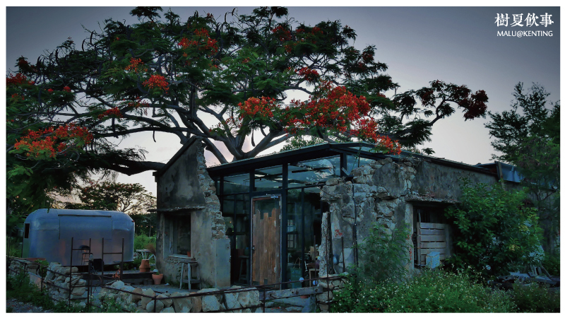 恆春樹夏飲事-30 恆春樹夏飲事-30