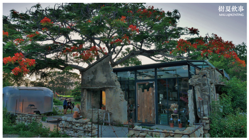 恆春樹夏飲事-29 恆春樹夏飲事-29