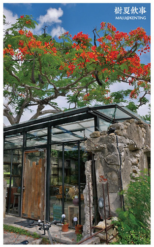 恆春樹夏飲事-4 恆春樹夏飲事-4