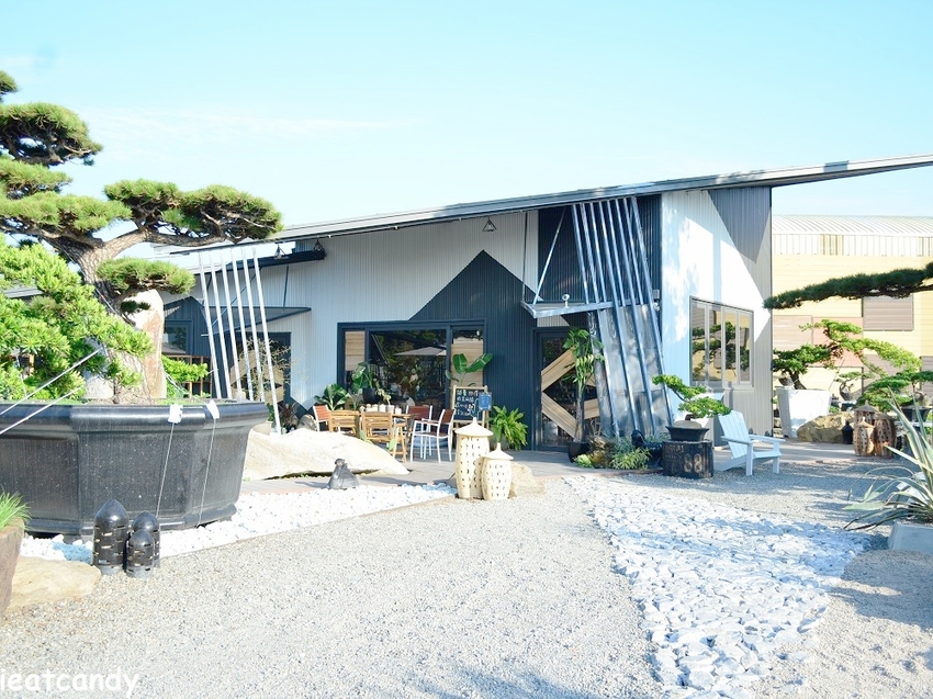 棉花糖雲朵圍繞的多肉植物環境，引進自然光線，享受愜意時光~