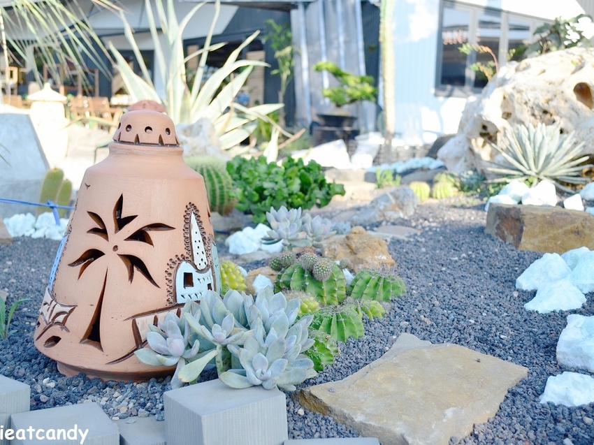 棉花糖雲朵圍繞的多肉植物環境，引進自然光線，享受愜意時光~