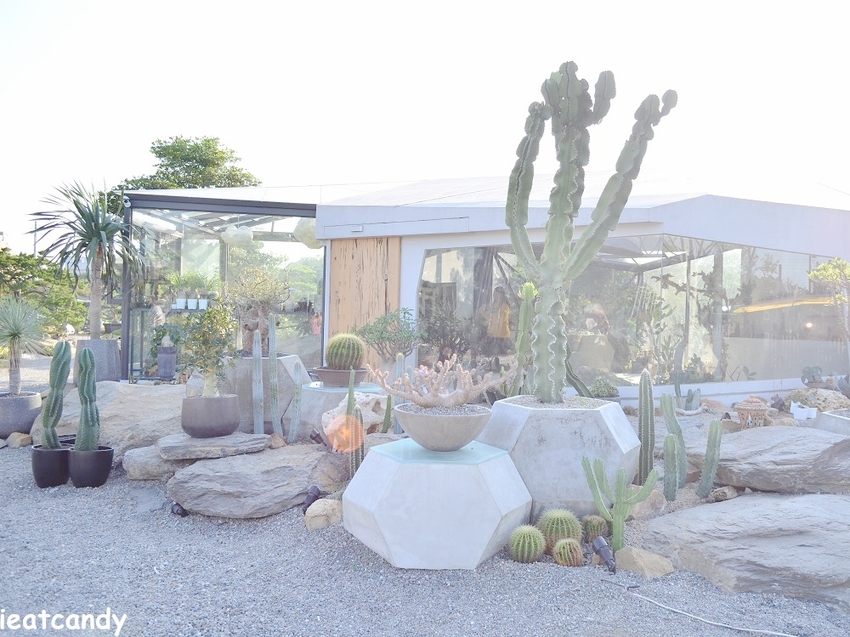 棉花糖雲朵圍繞的多肉植物環境，引進自然光線，享受愜意時光~